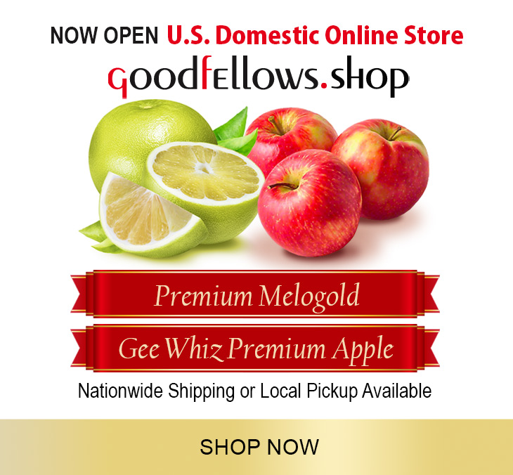 アメリカ国内専用オンラインショップ GoodfEllows.shop