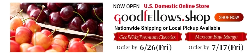 アメリカ国内専用オンラインショップ GoodfEllows.shop