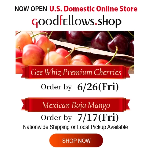 アメリカ国内専用オンラインショップ GoodfEllows.shop