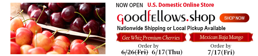 アメリカ国内専用オンラインショップ GoodfEllows.shop