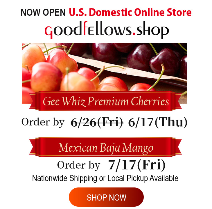 アメリカ国内専用オンラインショップ GoodfEllows.shop