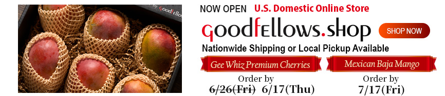slider1 アメリカ国内専用オンラインショップ GoodfEllows.shop