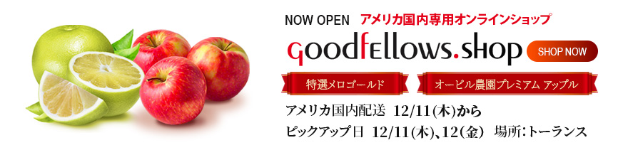 アメリカ国内専用オンラインショップ GoodfEllows.shop