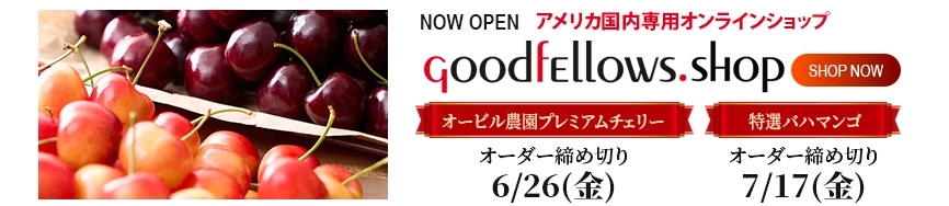 アメリカ国内専用オンラインショップ GoodfEllows.shop