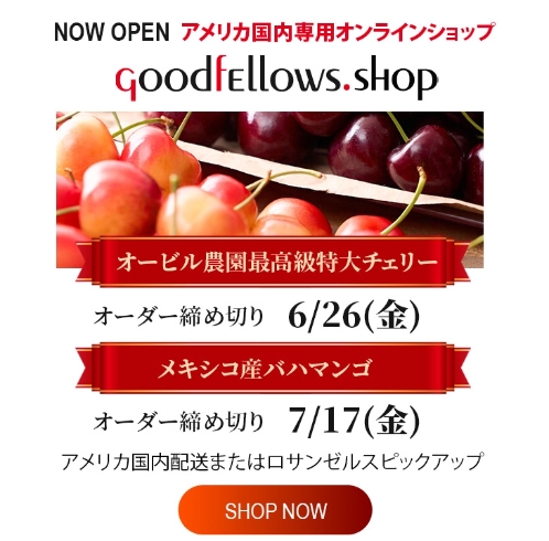アメリカ国内専用オンラインショップ GoodfEllows.shop