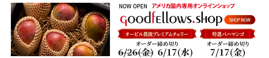 slider1 アメリカ国内専用オンラインショップ GoodfEllows.shop